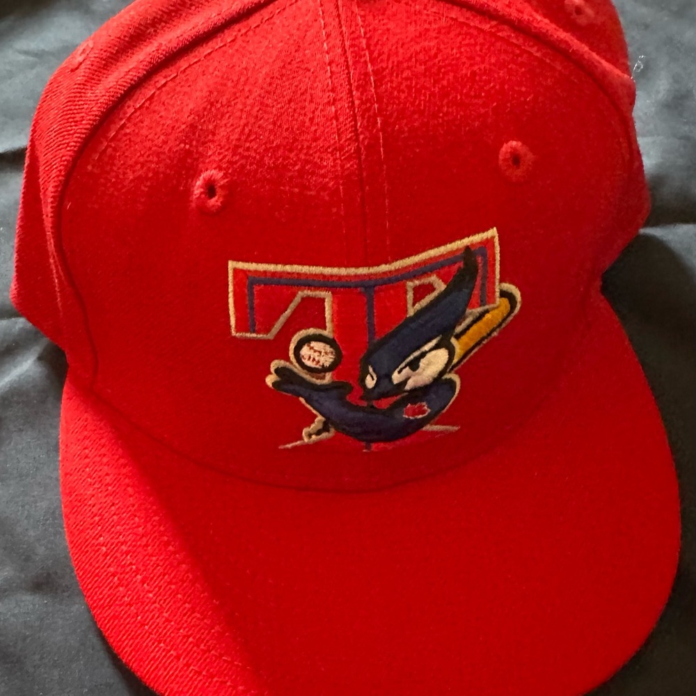 Toronto Blue Jays Hat